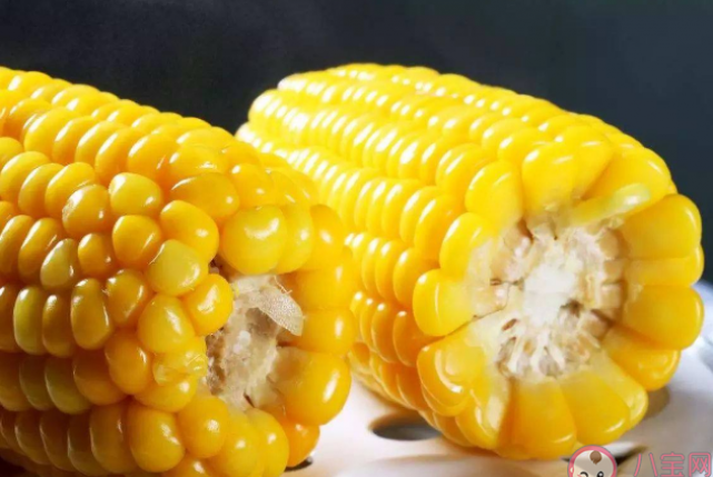 不同品种的玉米营养有什么区别 经常吃玉米有什么好处